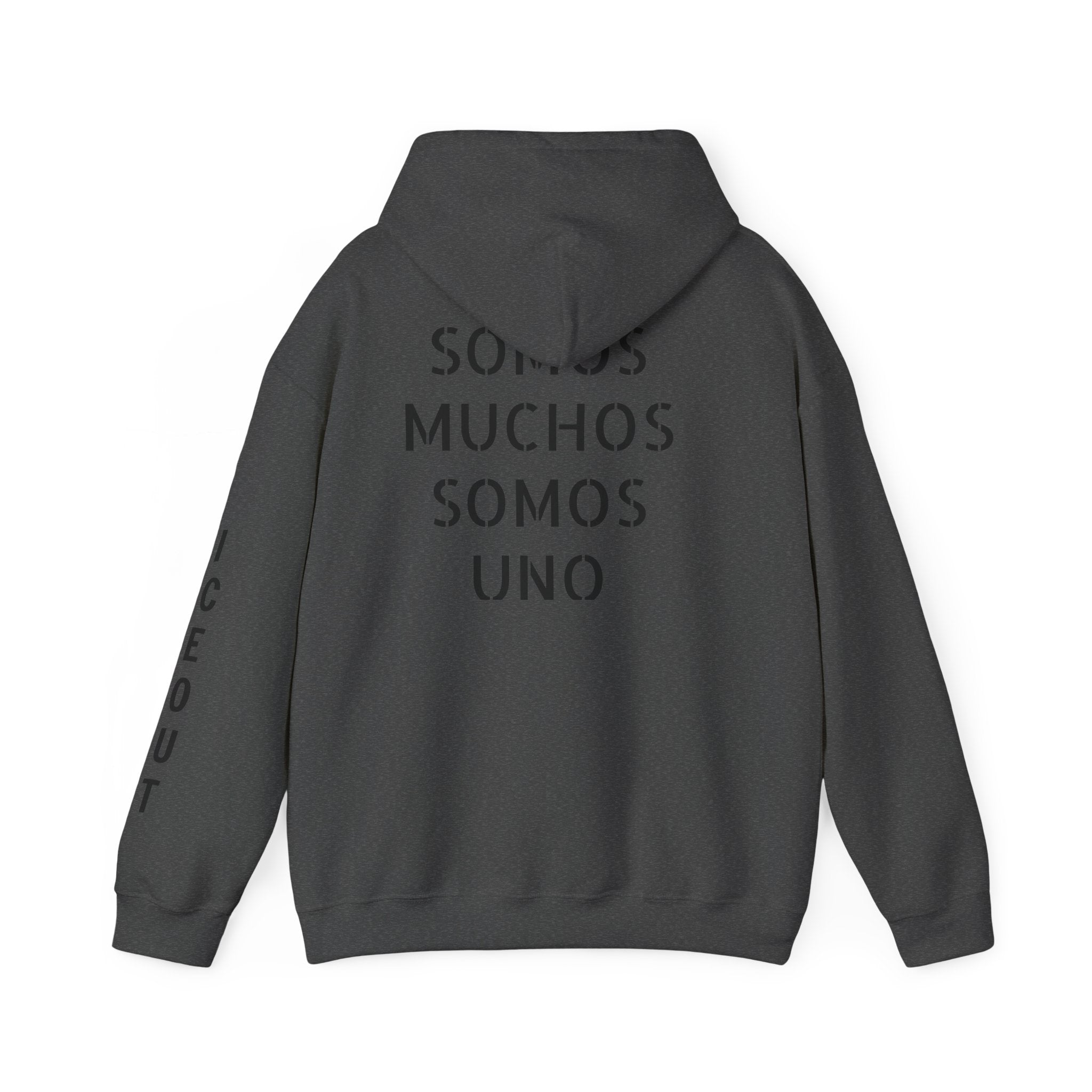 Hoodie - Vendidos "Somos Muchos Somos Uno" Streetwear Pullover