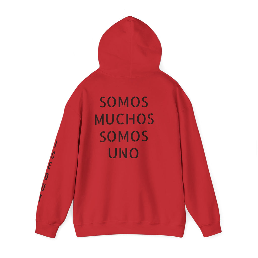 Hoodie - Vendidos "Somos Muchos Somos Uno" Streetwear Pullover