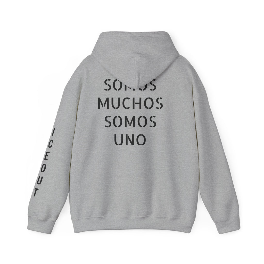 Hoodie - Vendidos "Somos Muchos Somos Uno" Streetwear Pullover